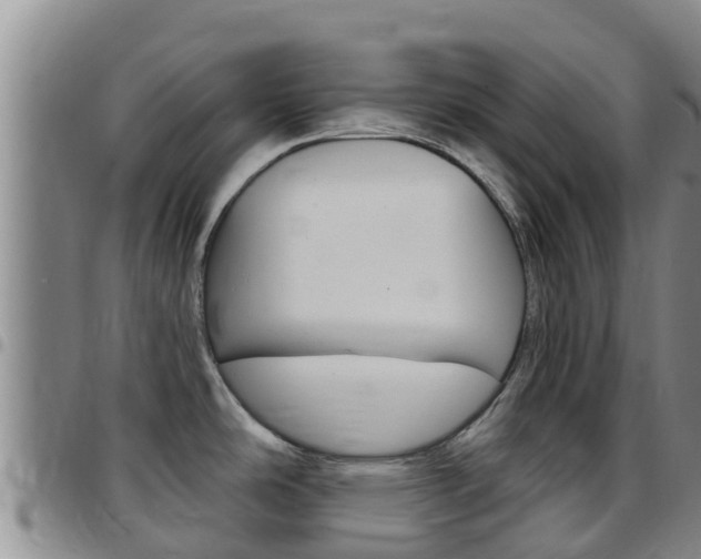 X0000097891486200803140953