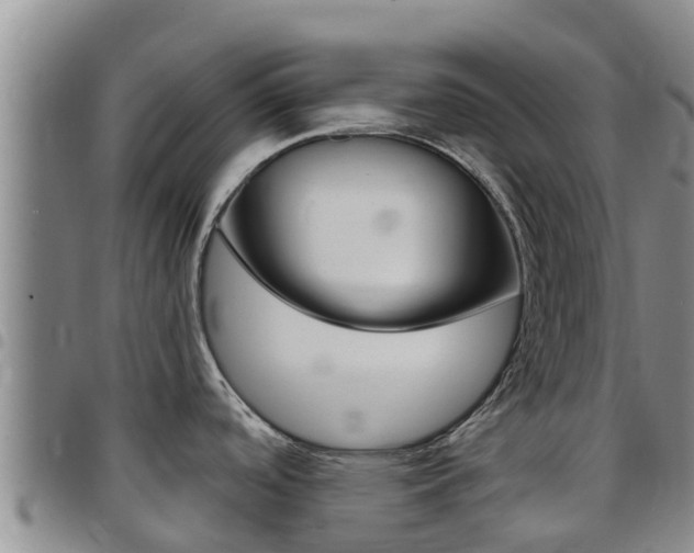 X0000097891488200803140953