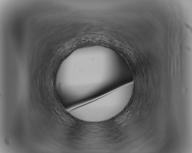 X0000097891489200803140953