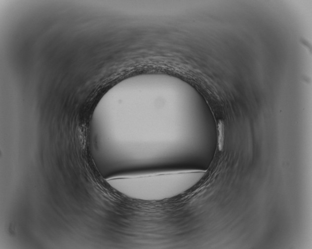 X0000097891491200803140953