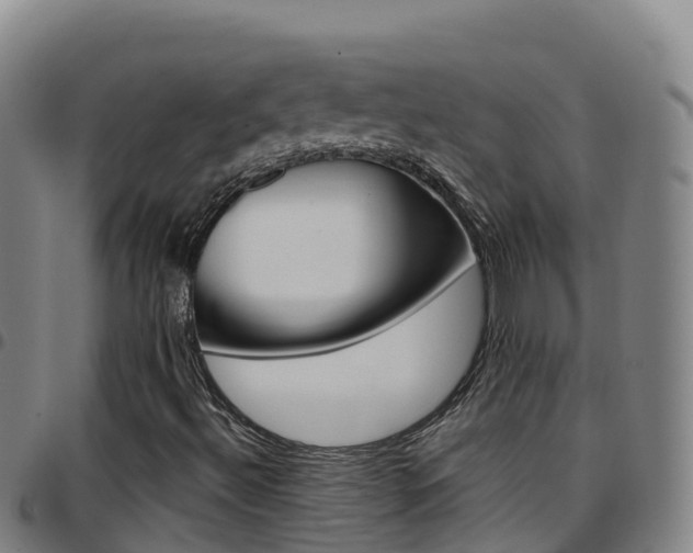 X0000097891492200803140953