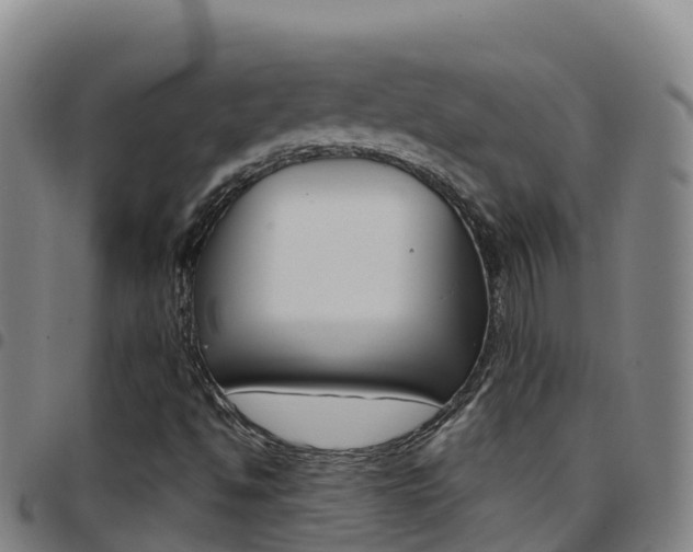 X0000097891494200803140953