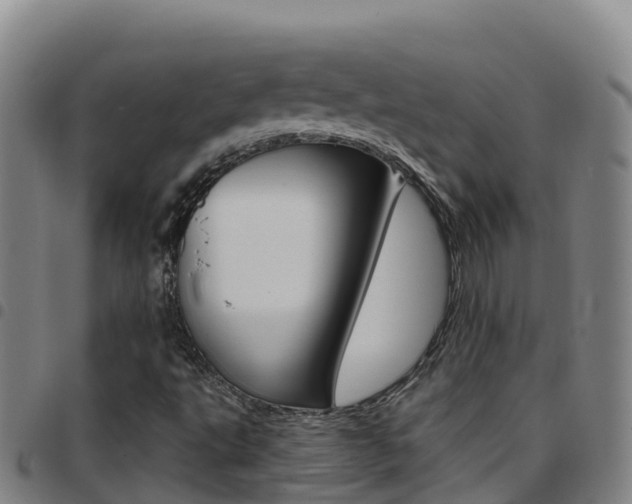 X0000097891495200803140953
