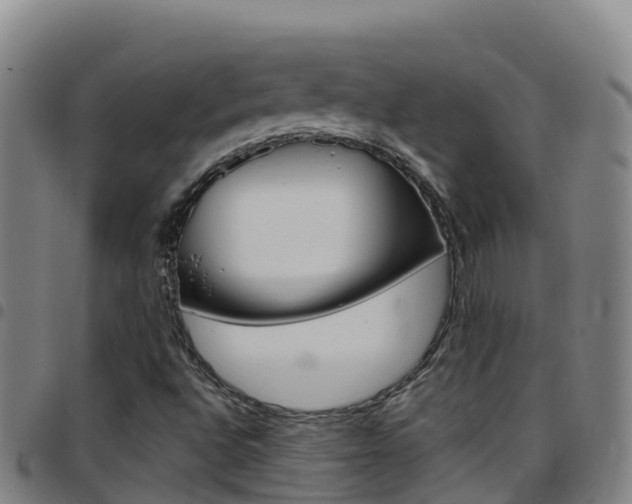 X0000097891496200803140953
