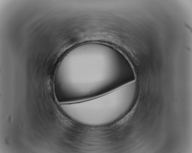 X0000097891497200803140953