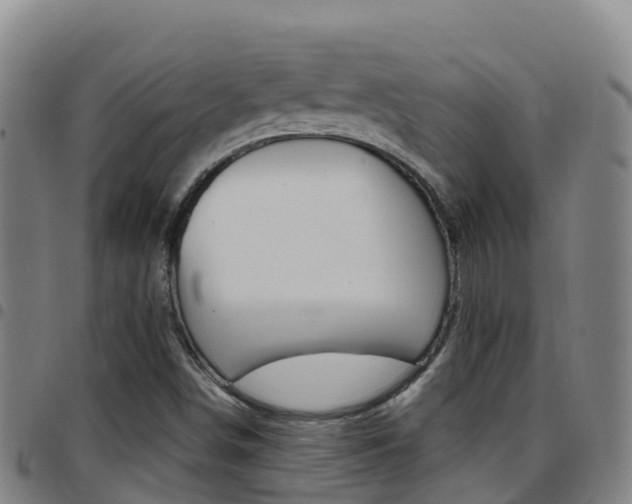 X0000097891498200803140953