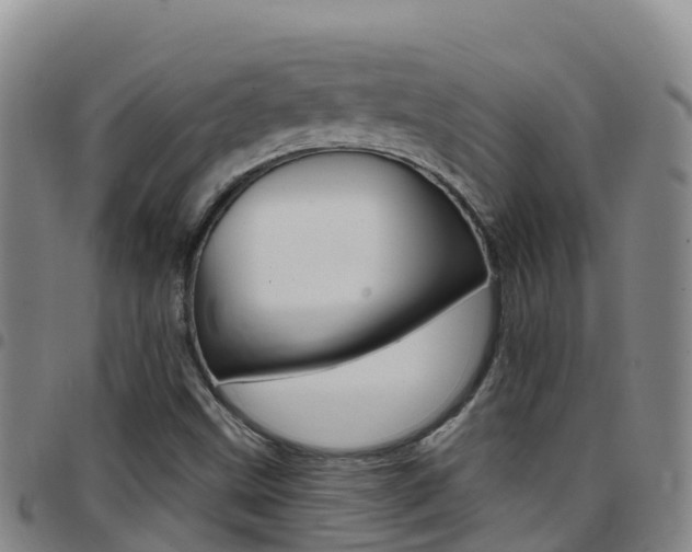 X0000097891499200803140953