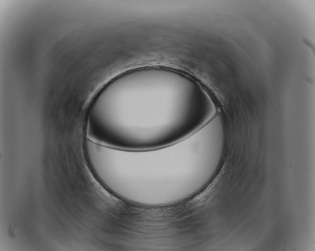 X0000097891500200803140953