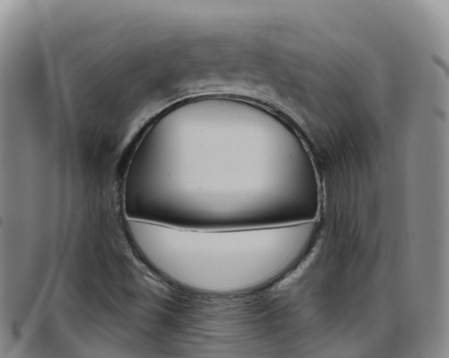 X0000097891501200803140953