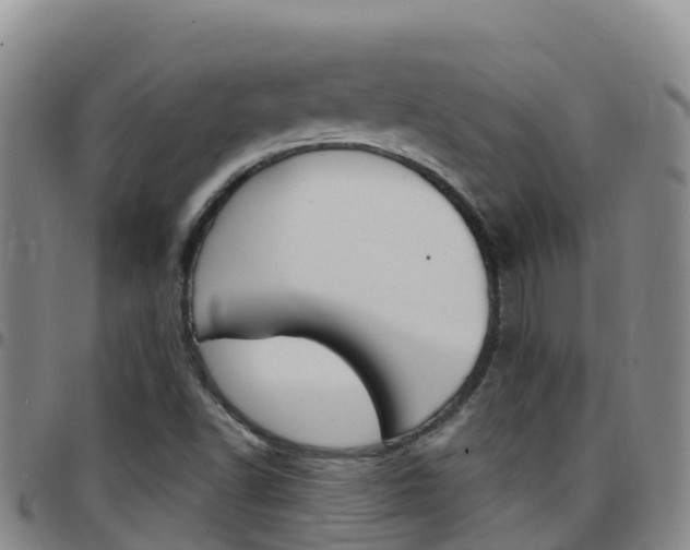X0000097891502200803140953