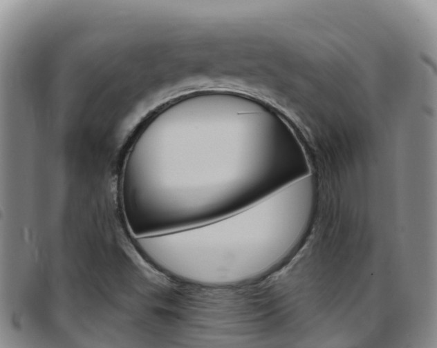 X0000097891503200803140953