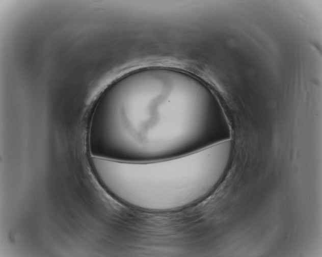 X0000097891504200803140953
