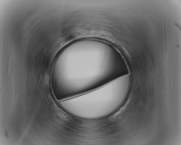 X0000097891505200803140953