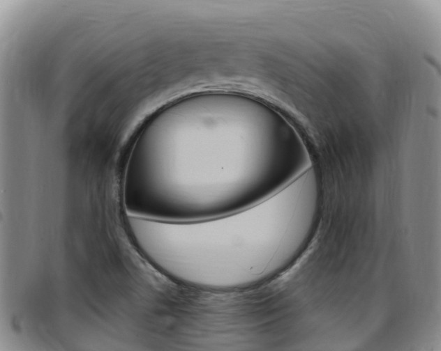X0000097891506200803140953