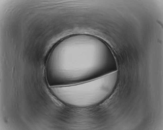 X0000097891507200803140953