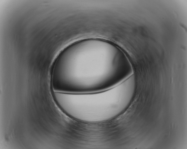 X0000097891508200803140953