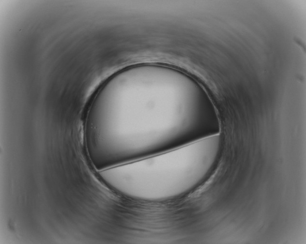 X0000097891509200803140953