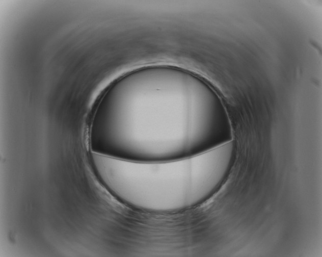 X0000097891510200803140953