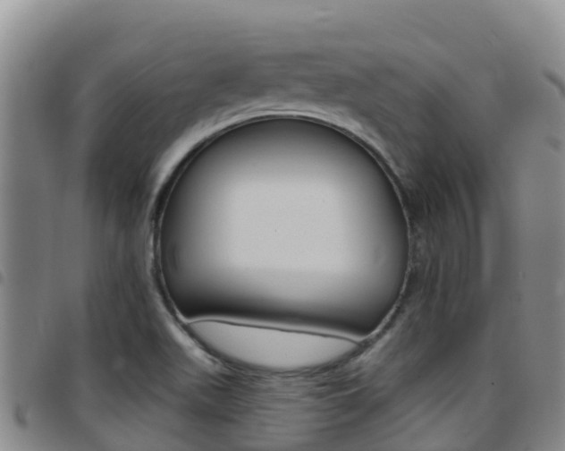 X0000097891511200803140953