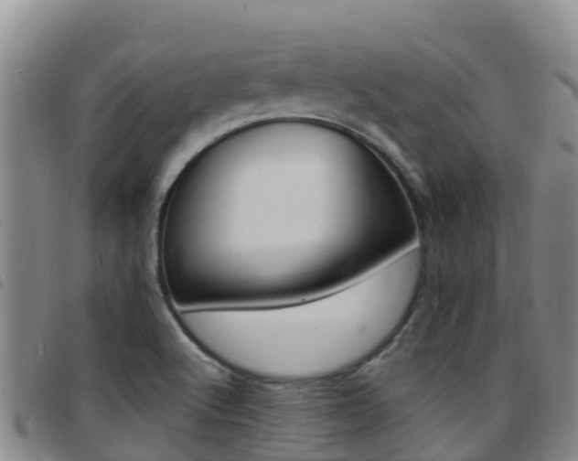 X0000097891512200803140953