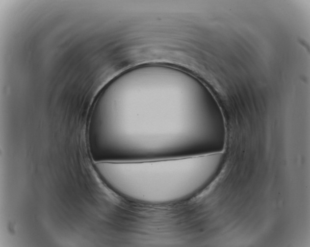 X0000097891513200803140953