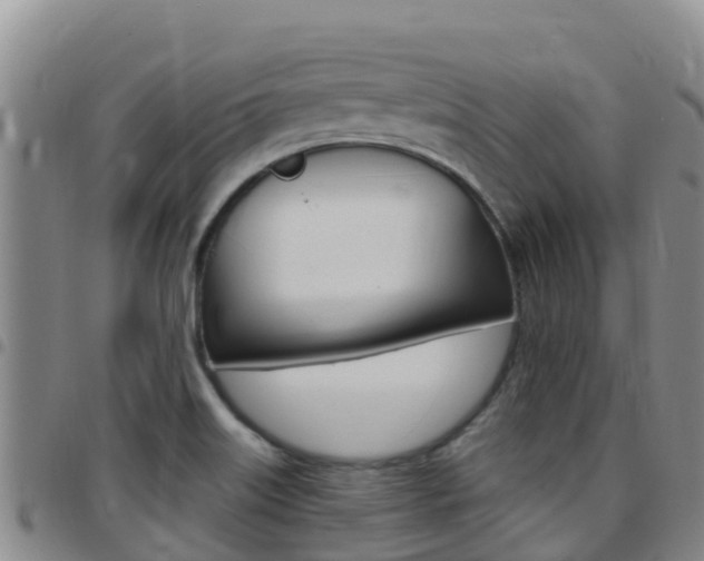 X0000097891515200803140953