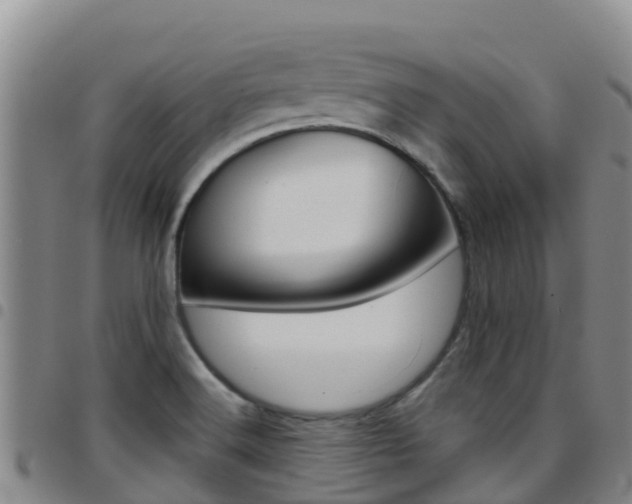 X0000097891516200803140953