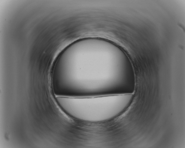 X0000097891517200803140953