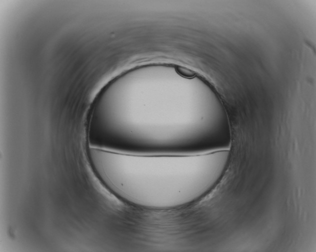 X0000097891518200803140953