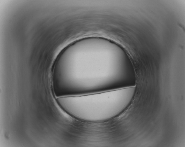 X0000097891519200803140953
