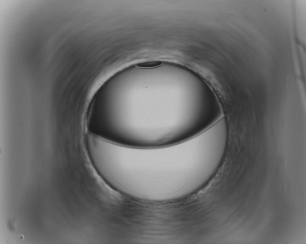X0000097891520200803140953