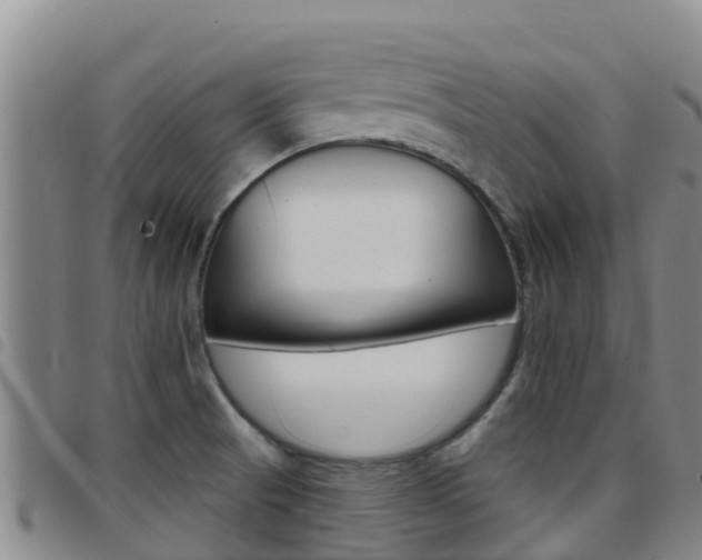 X0000097891521200803140953