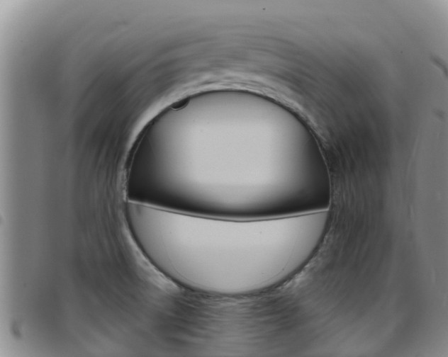 X0000097891522200803140953