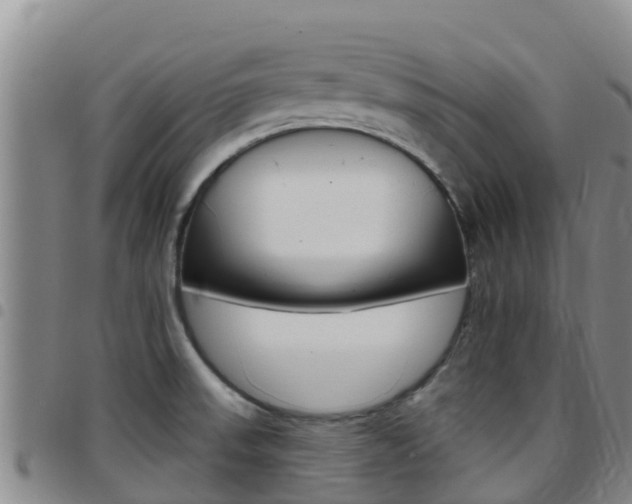 X0000097891523200803140953