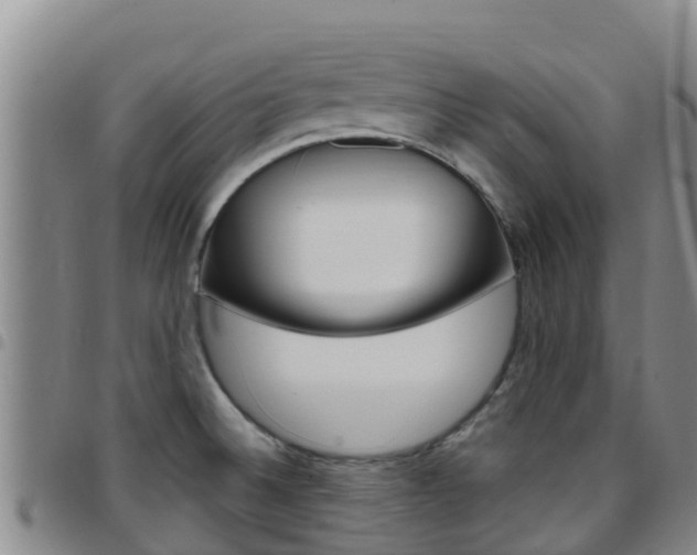 X0000097891524200803140953