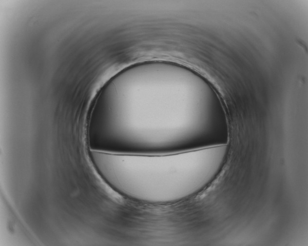 X0000097891525200803140953