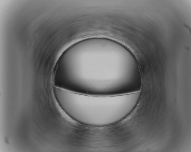 X0000097891526200803140953