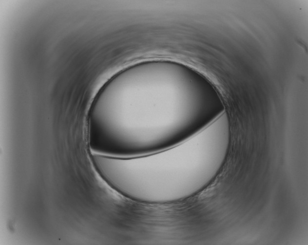 X0000097891527200803140953