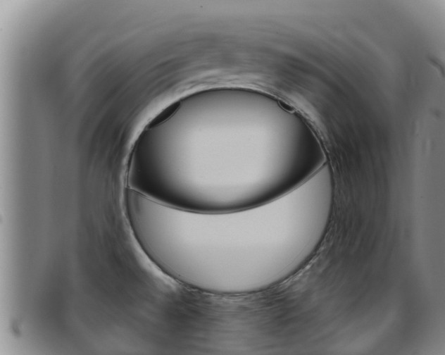 X0000097891528200803140953