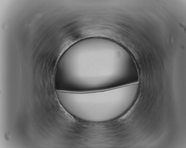 X0000097891529200803140953