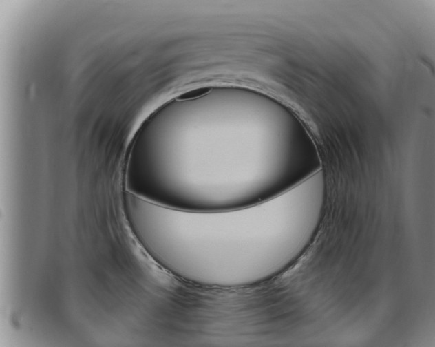 X0000097891530200803140953
