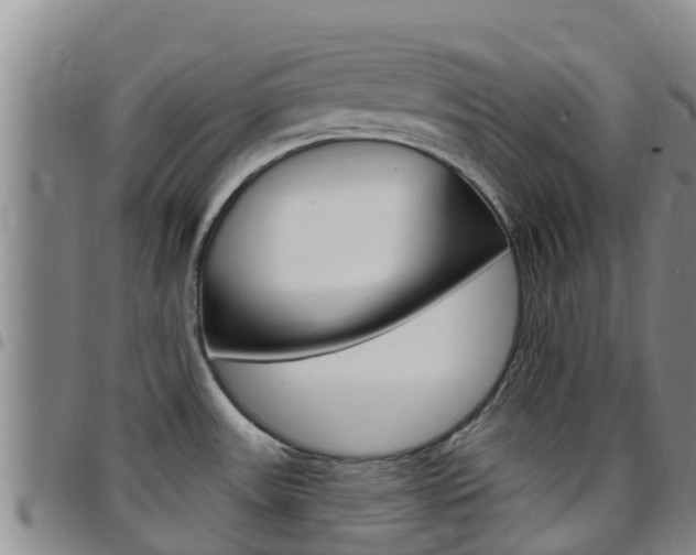 X0000097891531200803140953
