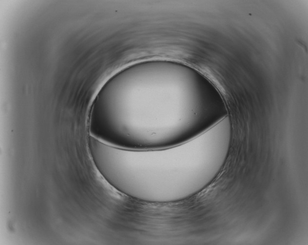 X0000097891532200803140953