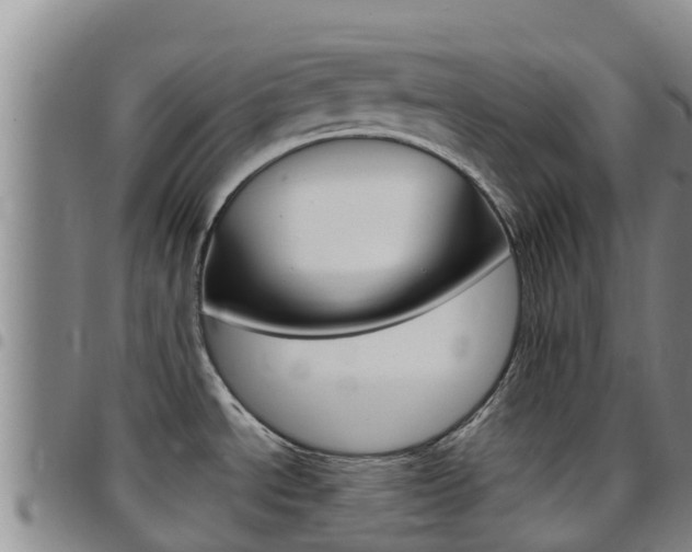X0000097891534200803140953