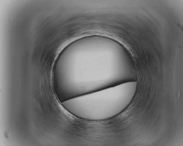 X0000097891535200803140953