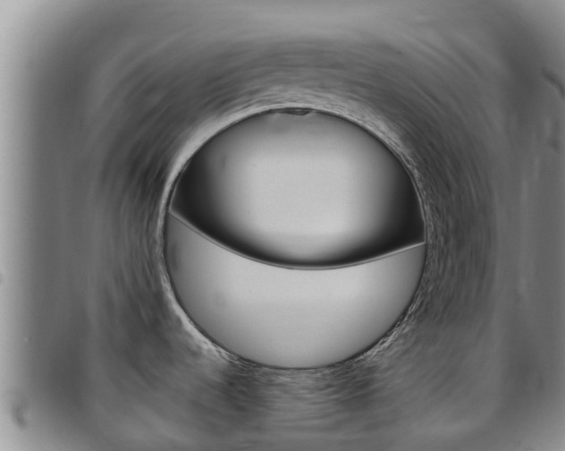 X0000097891536200803140953