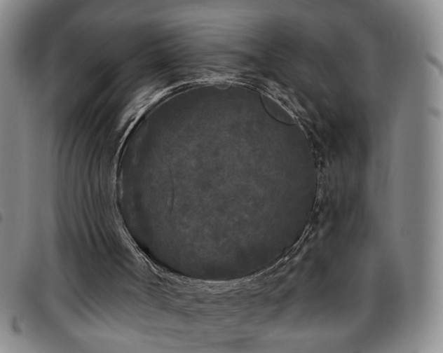X0000097890002200803141343