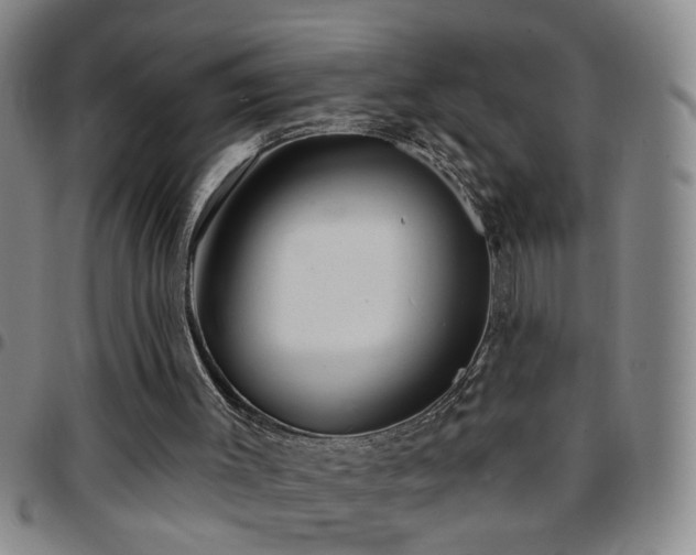 X0000097890003200803141343