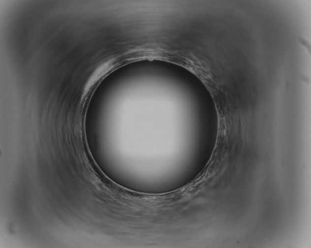 X0000097890004200803141343