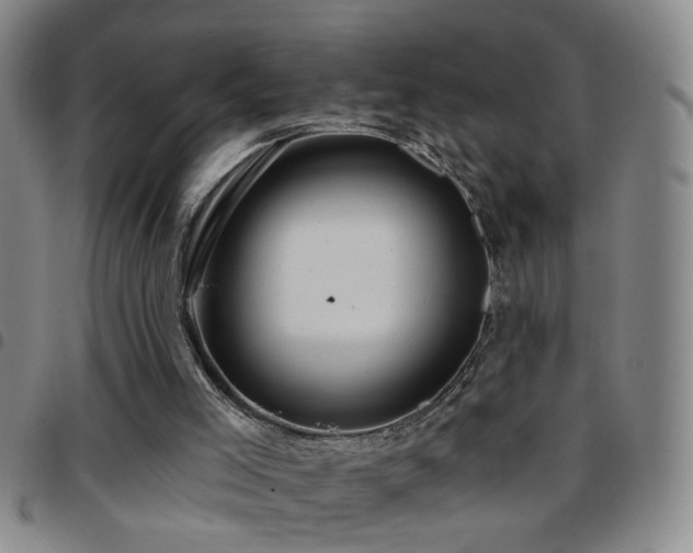 X0000097890005200803141343